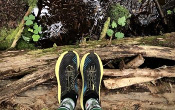 The Naturalist | Educate Your Way to Rich Running Experiences